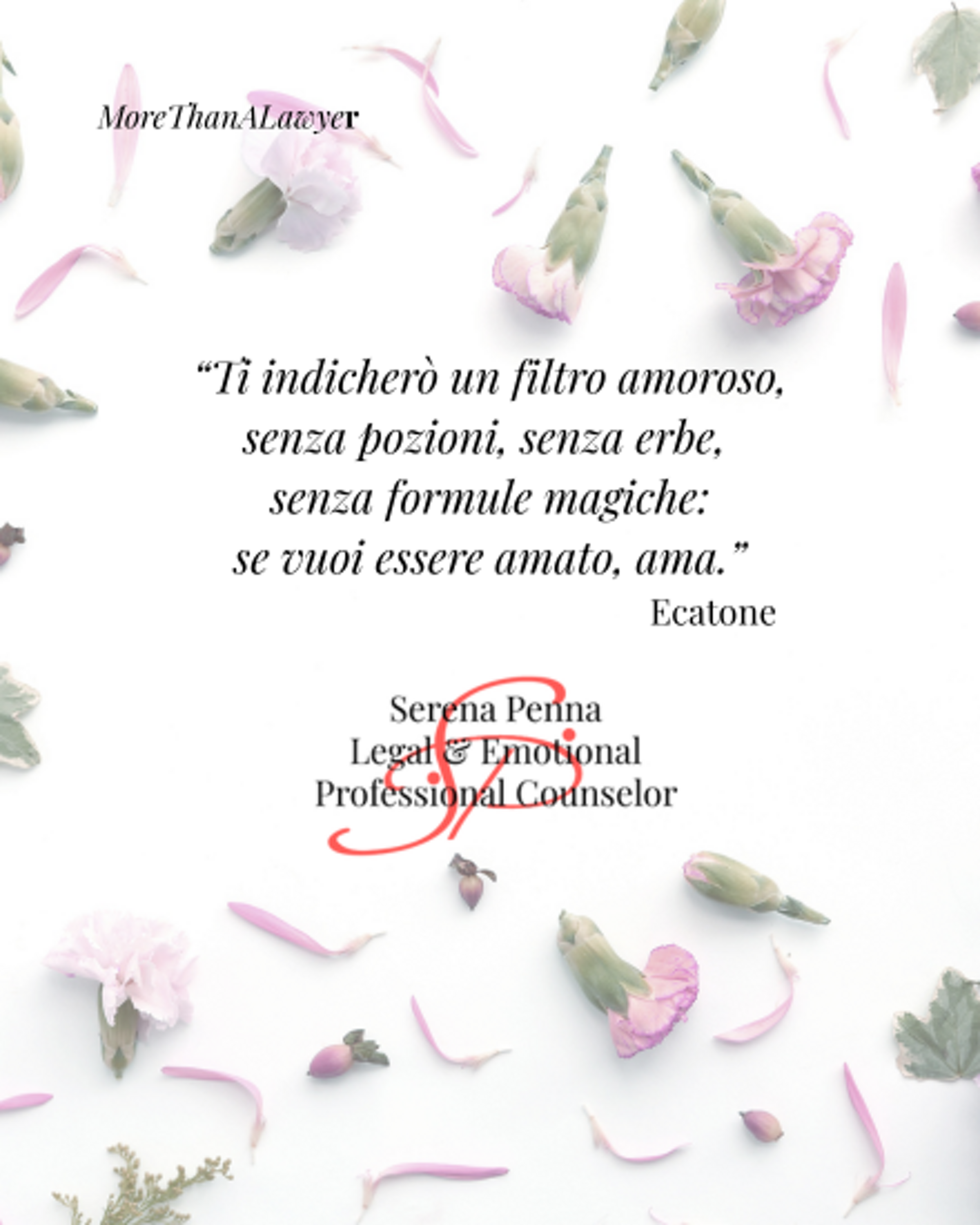 14 febbraio 2026.png